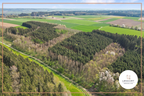 *Waldgrundstück**Mischwald**Leichte Hanglage**, 86513 Ursberg, Land-/Forstwirtschaft