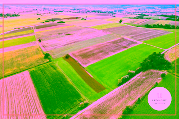 **Landwirtschaftsfläche zu verkaufen*Gemarkung Derndorf**, 87757 Kirchheim, Grundstück
